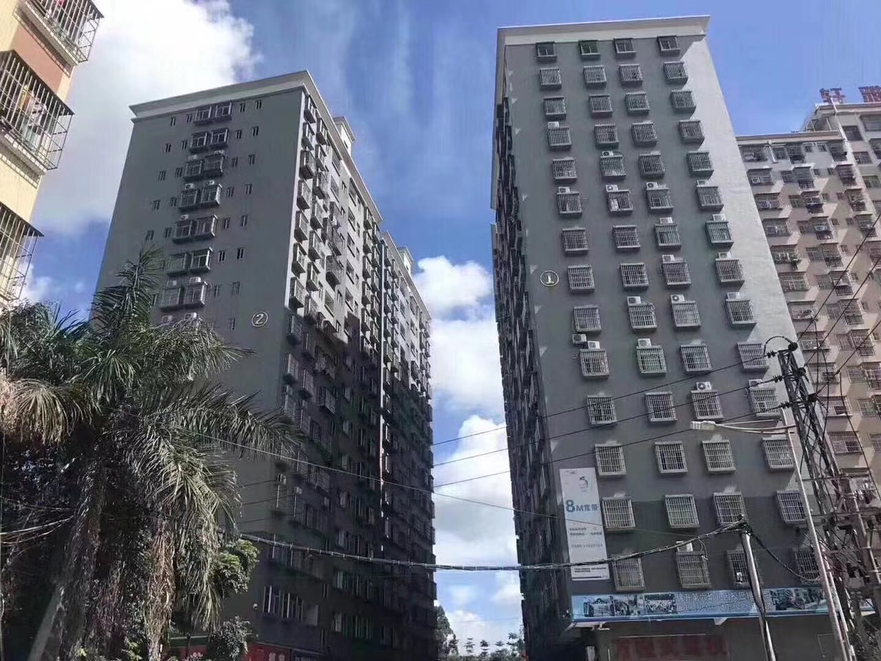 觀瀾村委統建樓