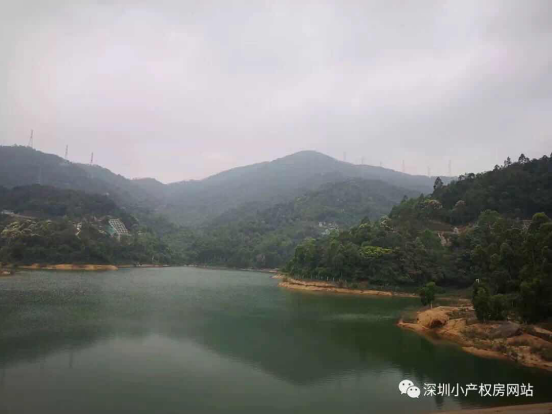 山水綠園一房一廳56平方，56.8萬/套起