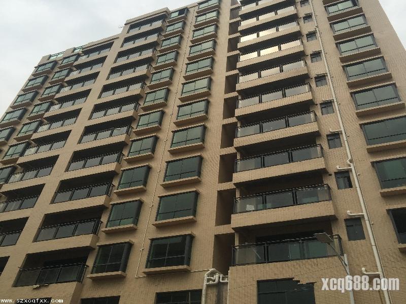 光明擁有中山大學深圳校區