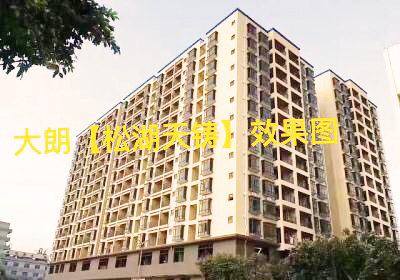 東莞大朗小產權房|松湖天鑄